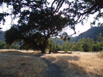 Enlarge photo 1