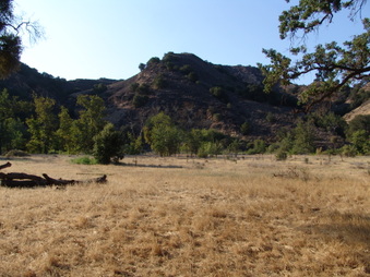 Enlarge photo 10