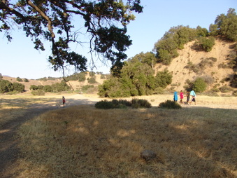 Enlarge photo 12