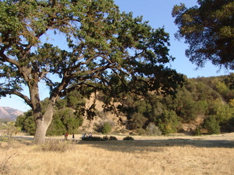 Enlarge photo 18