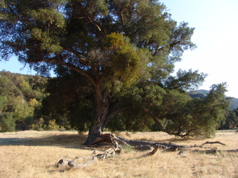 Enlarge photo 19