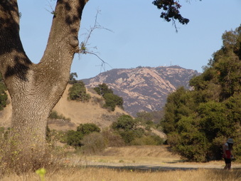 Enlarge photo 23