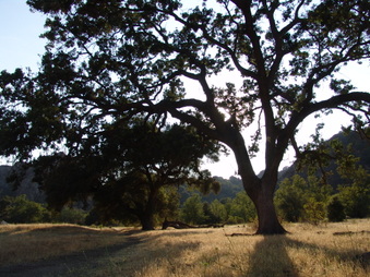 Enlarge photo 25