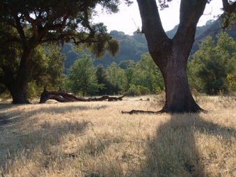 Enlarge photo 26