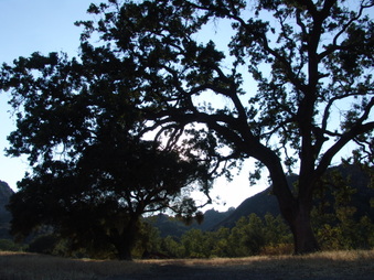 Enlarge photo 28