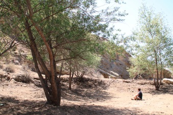 Enlarge photo 2