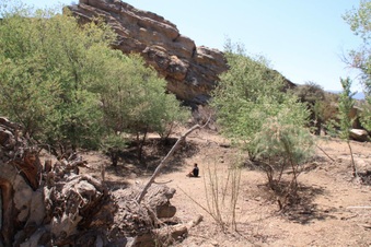 Enlarge photo 3