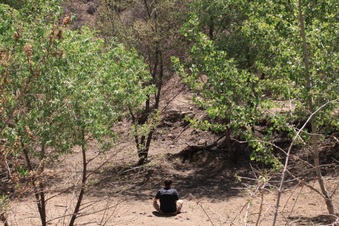 Enlarge photo 4