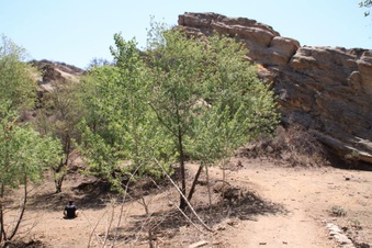 Enlarge photo 5