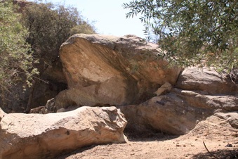 Enlarge photo 12