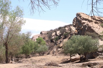 Enlarge photo 14