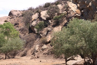 Enlarge photo 15