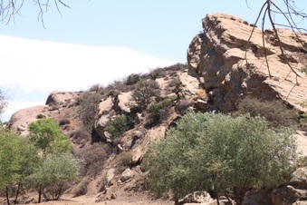 Enlarge photo 16