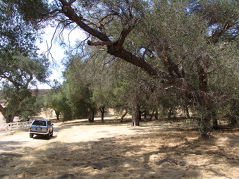 Enlarge photo 10