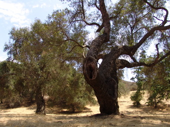 Enlarge photo 14