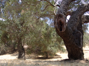 Enlarge photo 15