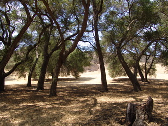 Enlarge photo 20