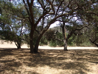 Enlarge photo 21