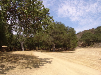 Enlarge photo 1