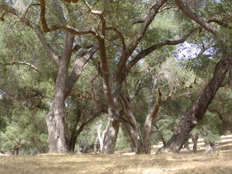 Enlarge photo 14
