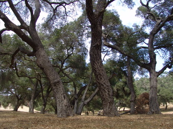 Enlarge photo 17