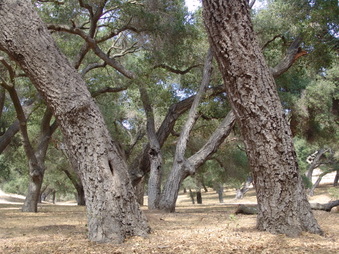 Enlarge photo 18