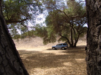 Enlarge photo 20