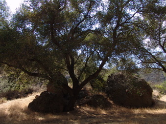 Enlarge photo 1