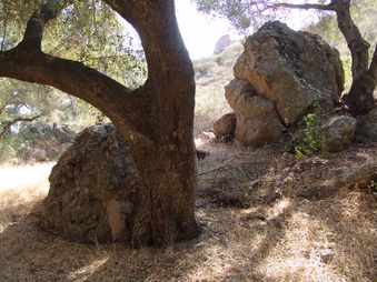 Enlarge photo 5