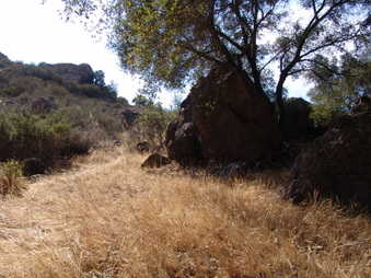 Enlarge photo 12