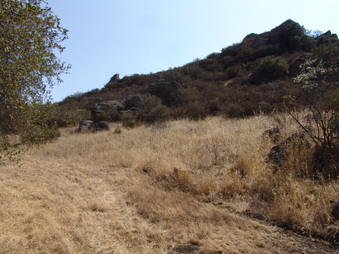 Enlarge photo 13