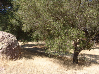 Enlarge photo 16