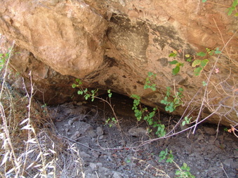 Enlarge photo 18