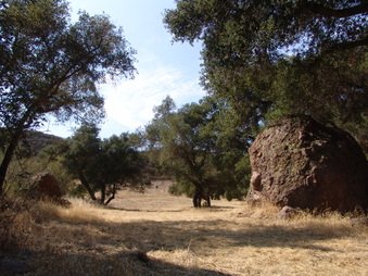 AREA 3