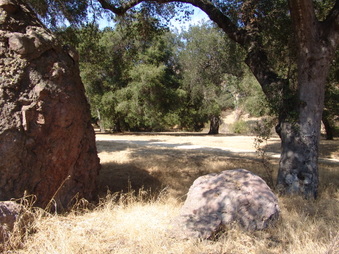 Enlarge photo 21