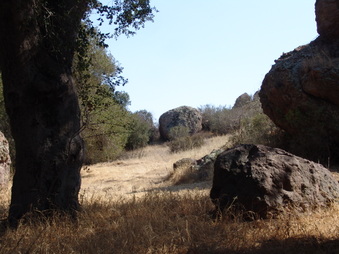 Enlarge photo 23