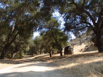 Enlarge photo 24