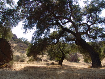 Enlarge photo 25