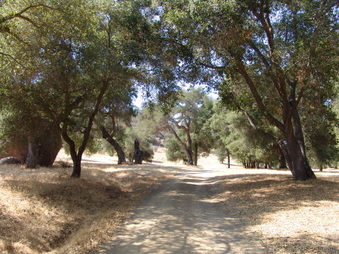 Enlarge photo 26
