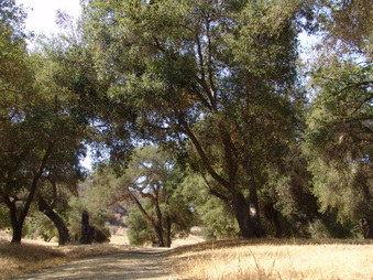Enlarge photo 27