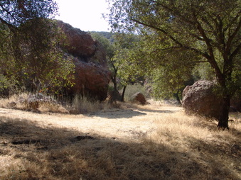 Enlarge photo 28