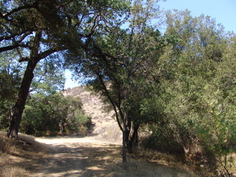 Enlarge photo 30