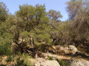 Enlarge photo 31