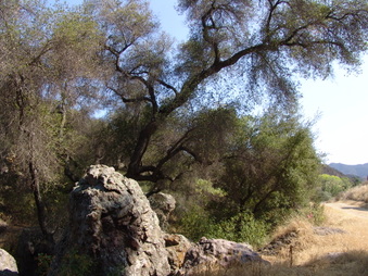 Enlarge photo 32