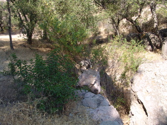 Enlarge photo 33
