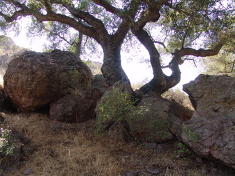 Enlarge photo 34