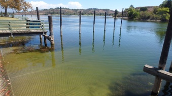 Enlarge photo 2