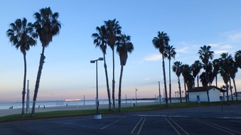 Enlarge photo 34