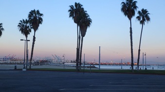 Enlarge photo 38