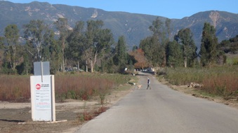 Enlarge photo 26